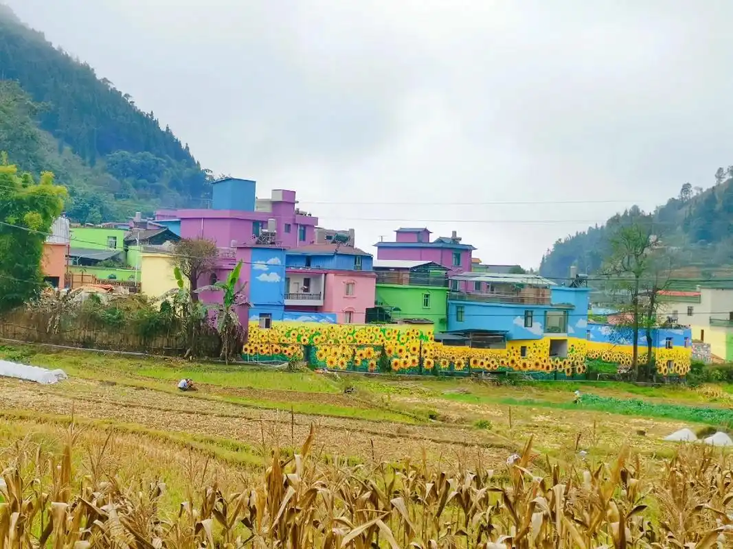 欢迎来我们的新农村打卡!#家乡 #图文伙伴计划 #手机摄影 - 抖音