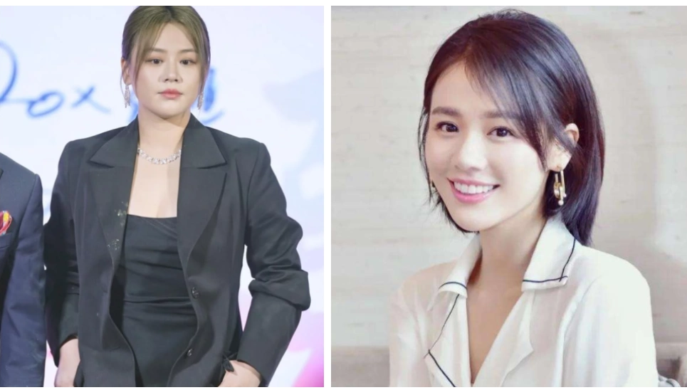 明星胖瘦对比,马思纯刘亦菲霍思燕瘦时清爽,沈腾胖成沈姨