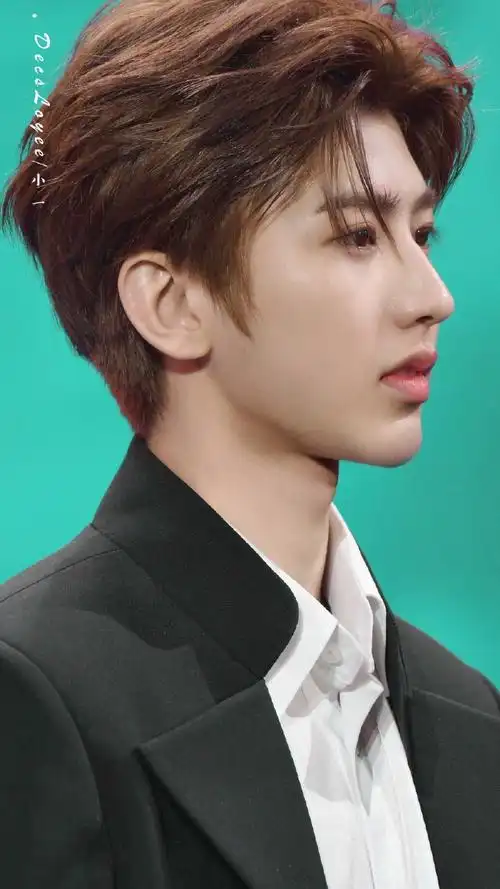 赵丽颖李现刘亦菲蔡徐坤侧颜