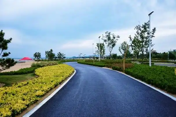 村里铺了沥青路,但村民大失所望,质问铺路为何?