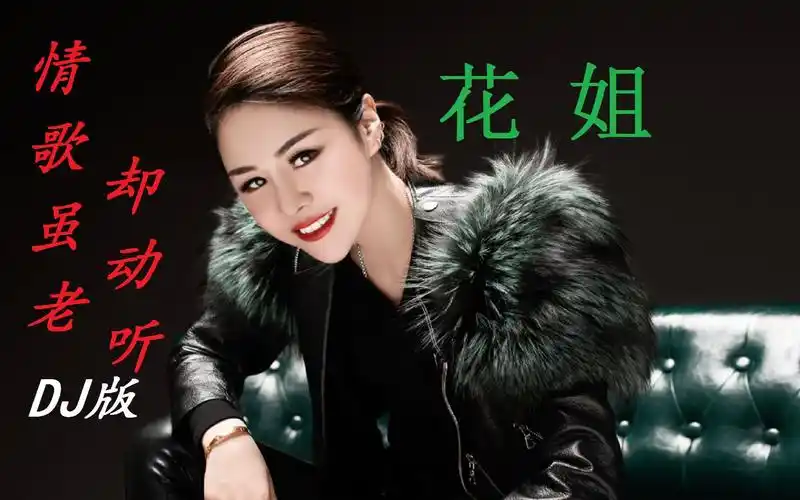 花姐《情歌虽老却动听》dj何鹏版,独特的嗓音,唱的深情唯美!