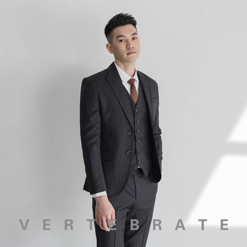 脊椎动物男装韩版青年时尚深灰条纹西装修身英伦风西服