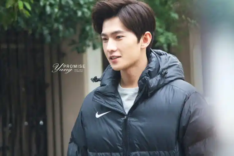 杨洋 微微一笑很倾城 杨洋 肖奈 - 堆糖,美图壁纸兴趣社区