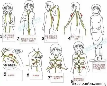 me 收录优美图片