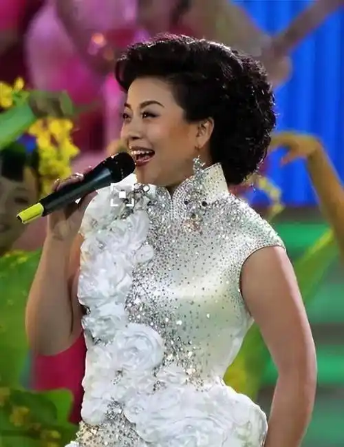 55岁民歌皇后张也:孤身22年未婚无子,与男密友相守21年却_支持_故事