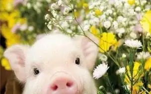 辰熙风水-分享最新最全风水知识