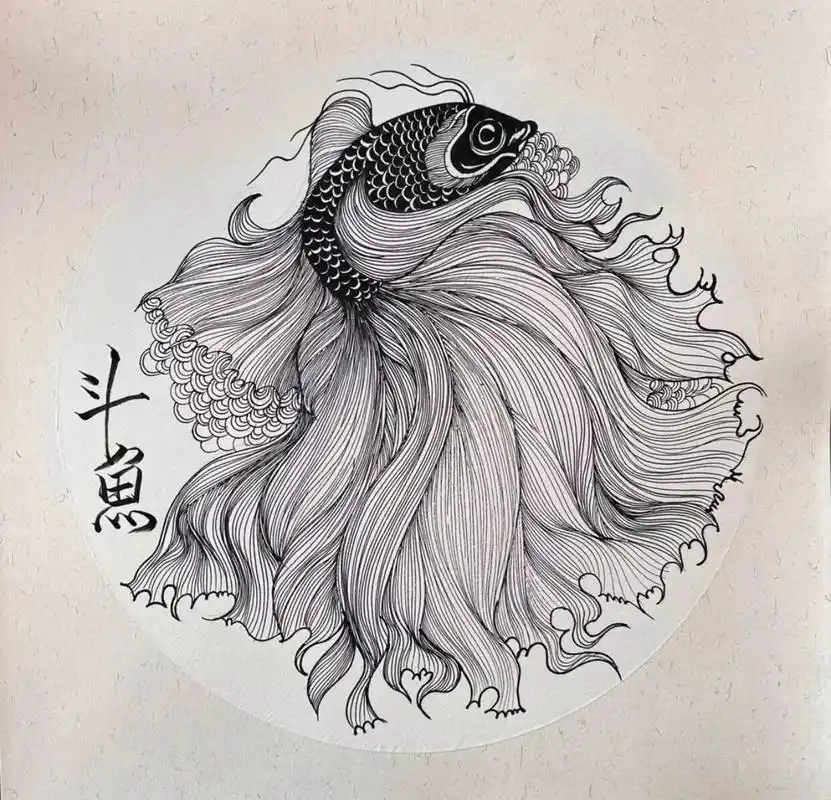 二年级创意素描《斗鱼》 今日课程《斗鱼》 1.通过图片写生.