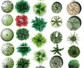 ps树木彩色平面素材