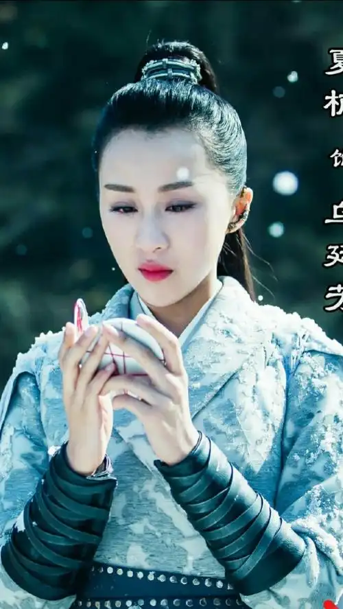 寻秦记乌廷芳夏楠