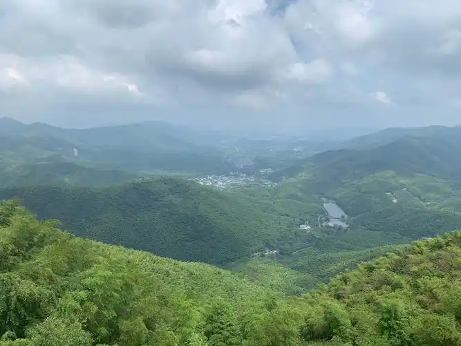 天然氧吧宜兴竹海游记