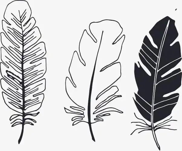 美术练习——手绘线条