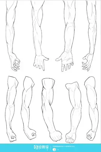 写生手臂人体体块手臂肌肉的练习