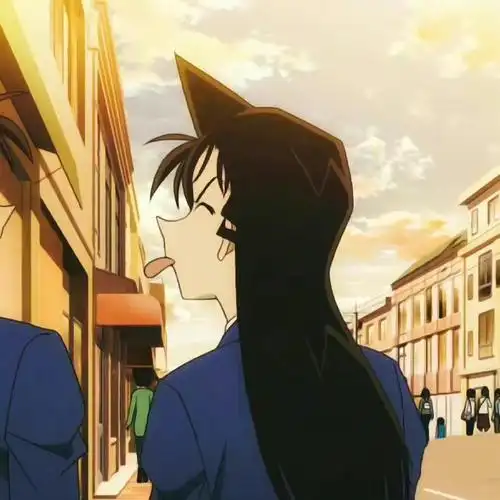 名侦探柯南 新兰 情头