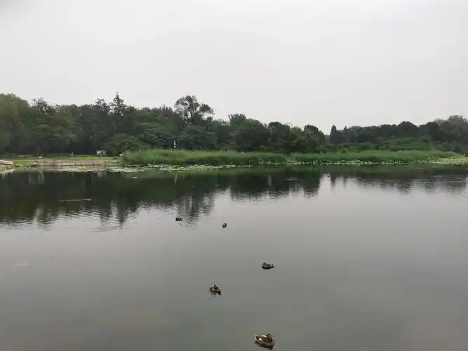 北京圆明园之凤麟洲遗址