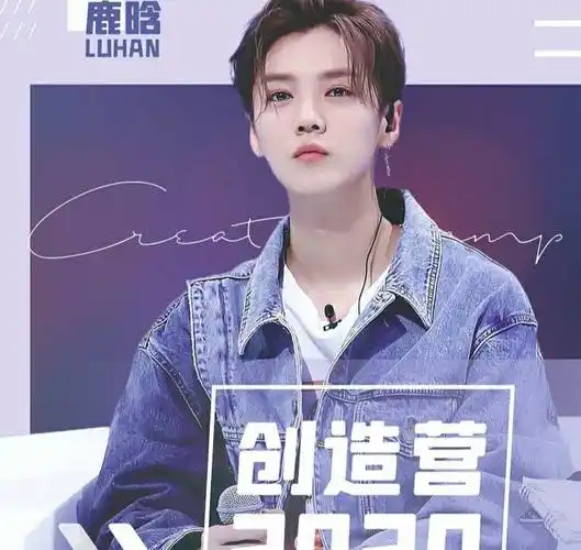 原创鹿晗粉丝干了件别家轻易不敢尝试的事情没想到效果出奇的好肖战家