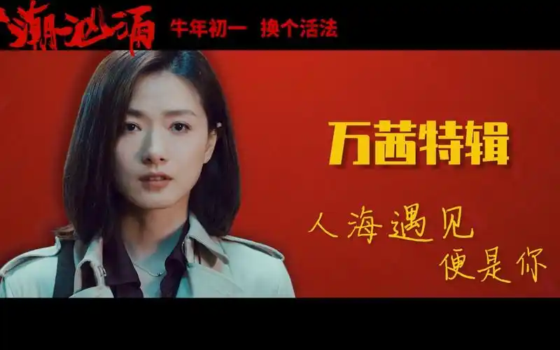 官方人潮汹涌万茜特辑人海遇见便是你
