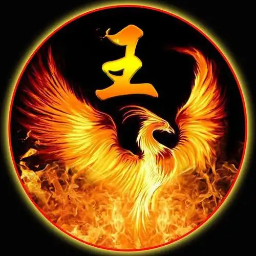 48张龙凤呈祥美图,换作微信头像,好运连连!