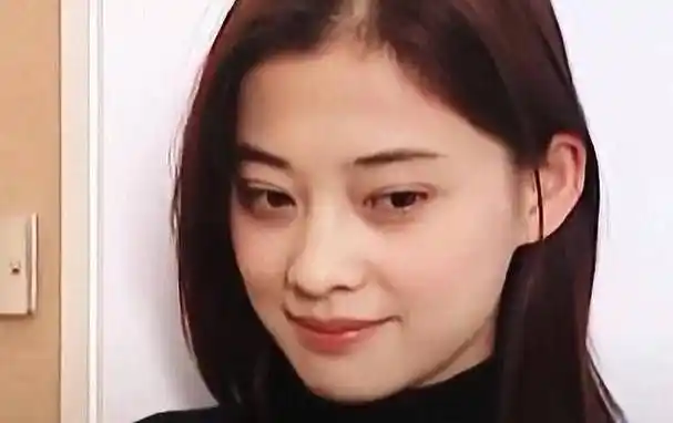 梅婷的颜值分析_线条_样子_鼻头