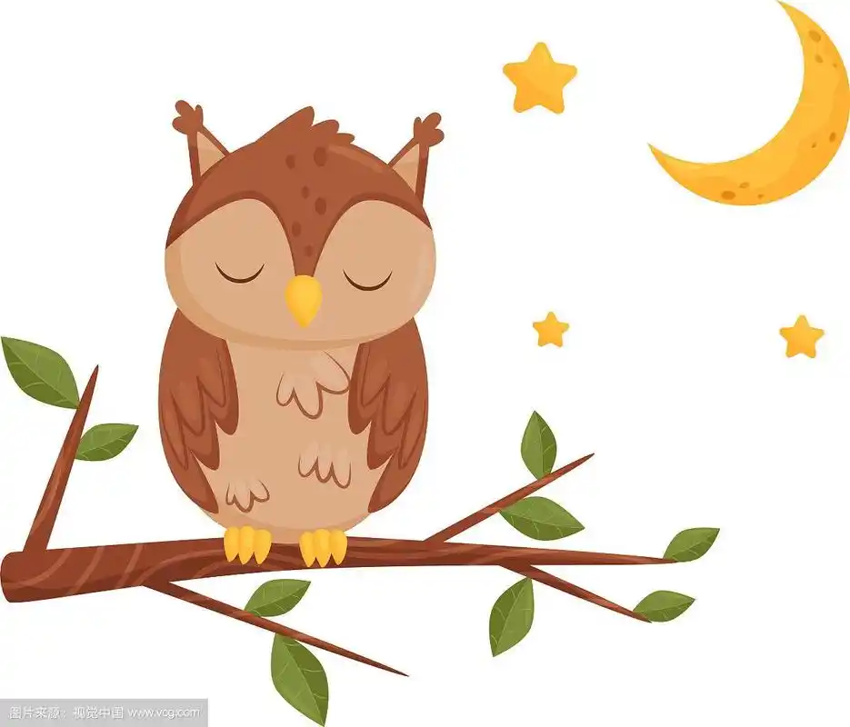 可爱的猫头鹰坐在树枝上睡觉