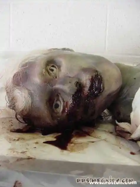 【读博萃华】从地球科学大眼光,揭秘"12字古玉鉴真法".