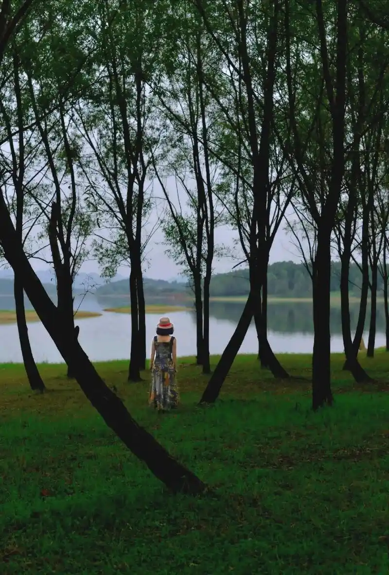 森林日记/净呼吸 环境人像摄影 出镜/飞飞 - 抖音