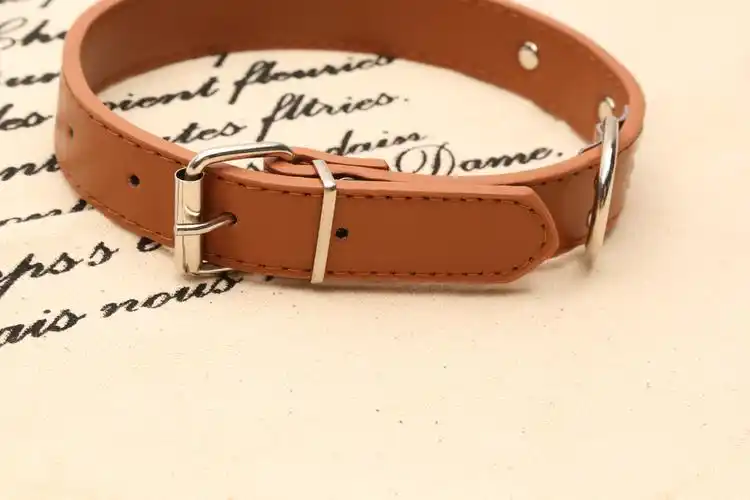 金禾时尚四钉项圈 宠物项圈 狗狗项圈 宠物牵引