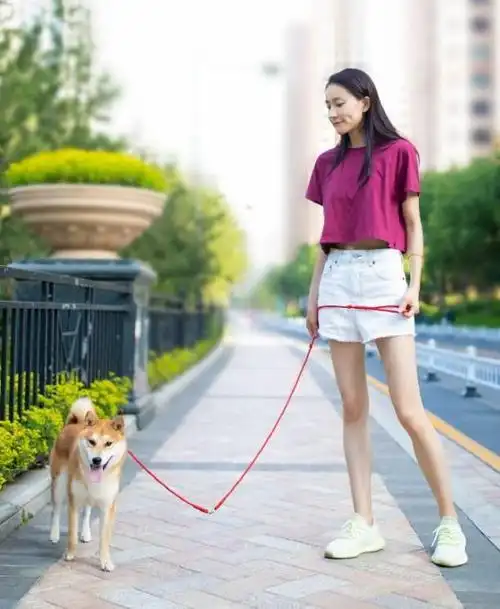 今日图集:中国艺术体操队员张豆豆