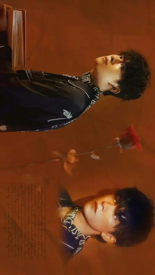 易烊千玺壁纸小王子与玫瑰春风鹤你