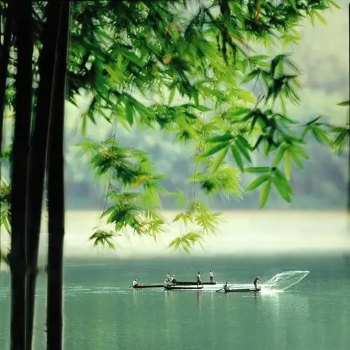 禅是一缕清风早安67