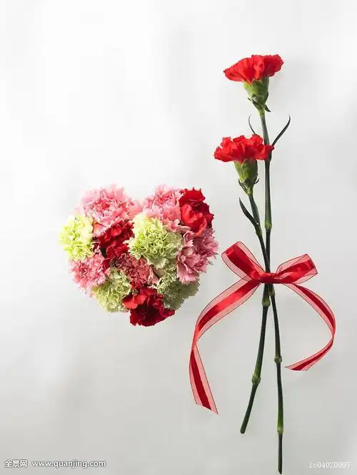 送给母亲最好的礼物-康乃馨 - 照亮你的美 - c2c实战教学系统 - 温岭