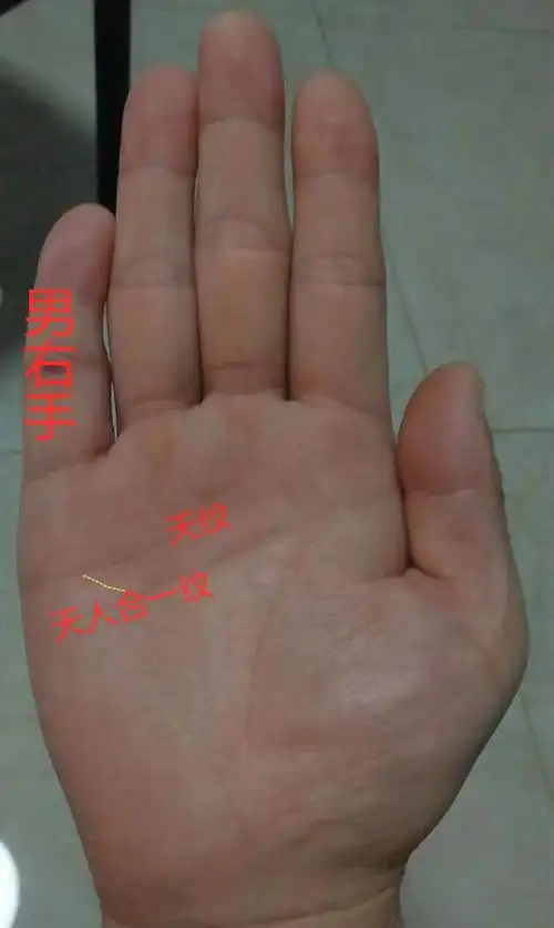 男人断掌纹的命运 男人断掌纹的命运左手_八字测算_吉兴算命网