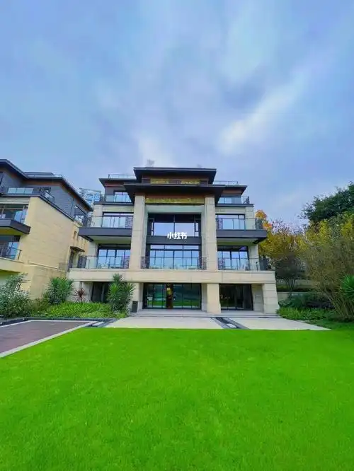 总价3000w,主城传世独栋别墅92即买即住