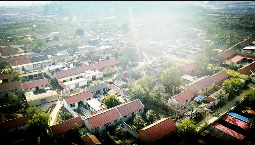 魅力古槐扮靓美丽乡村_玉田县_徐思远_的发展