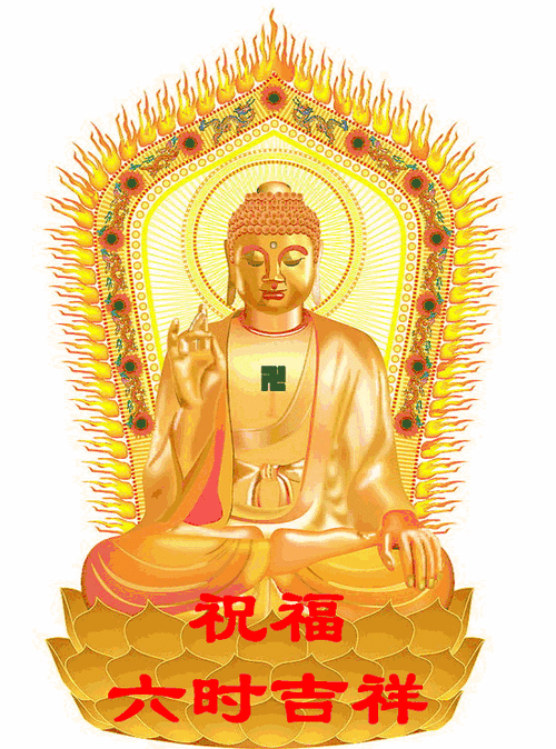 550_741竖版 竖屏gif 动态图 动图