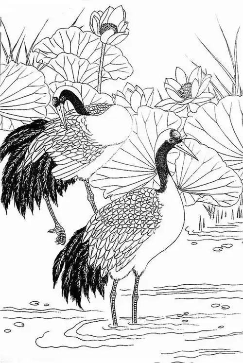 一组白描仙鹤,惟妙惟肖︱艺术名画