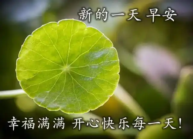 朋友圈简单温馨的早安问候图片,愿你永远活得年轻美貌