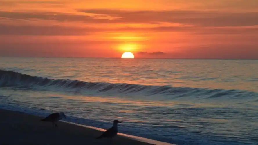 唯美海面的日出日落图片(3/9)