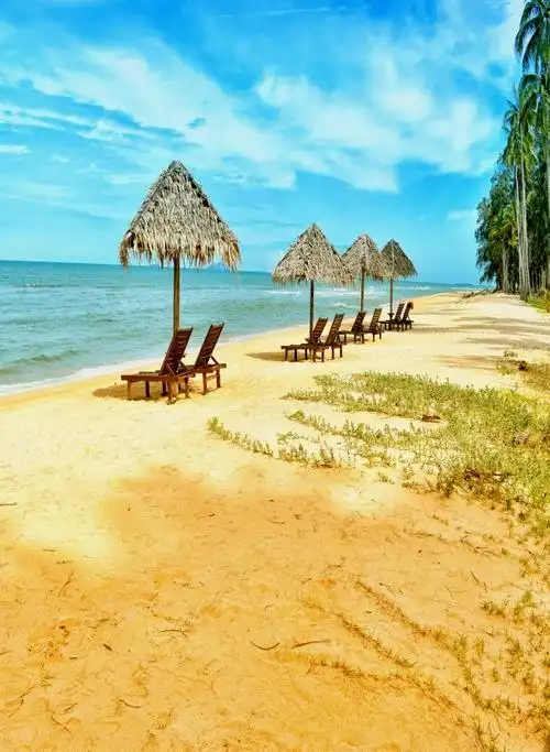 大海背景布 大海沙滩蓝天白云海边椰树风景主播拍视频段子直播背景布