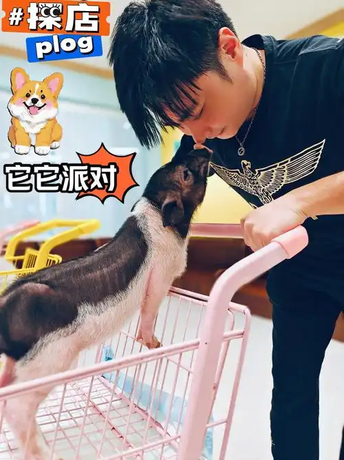 哼着五月天《派对动物》,享受萌宠哒亲密一天!