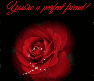 398_341gif 动态图 动图