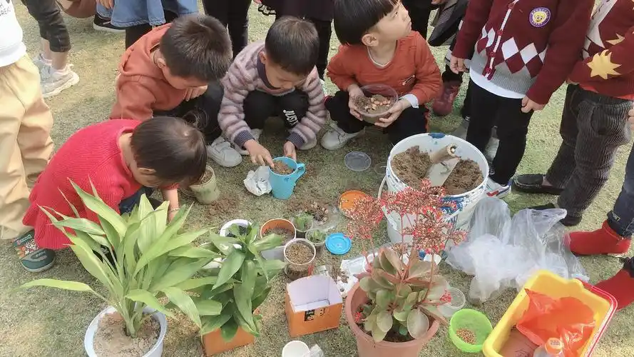 金苹果幼儿园"爱护植物,热爱大自然"植树节活动
