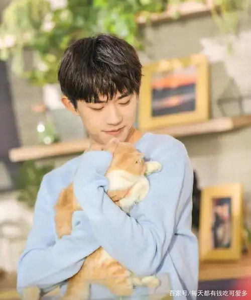 易烊千玺抱猫超温柔,网友:想做他怀里的那只猫!