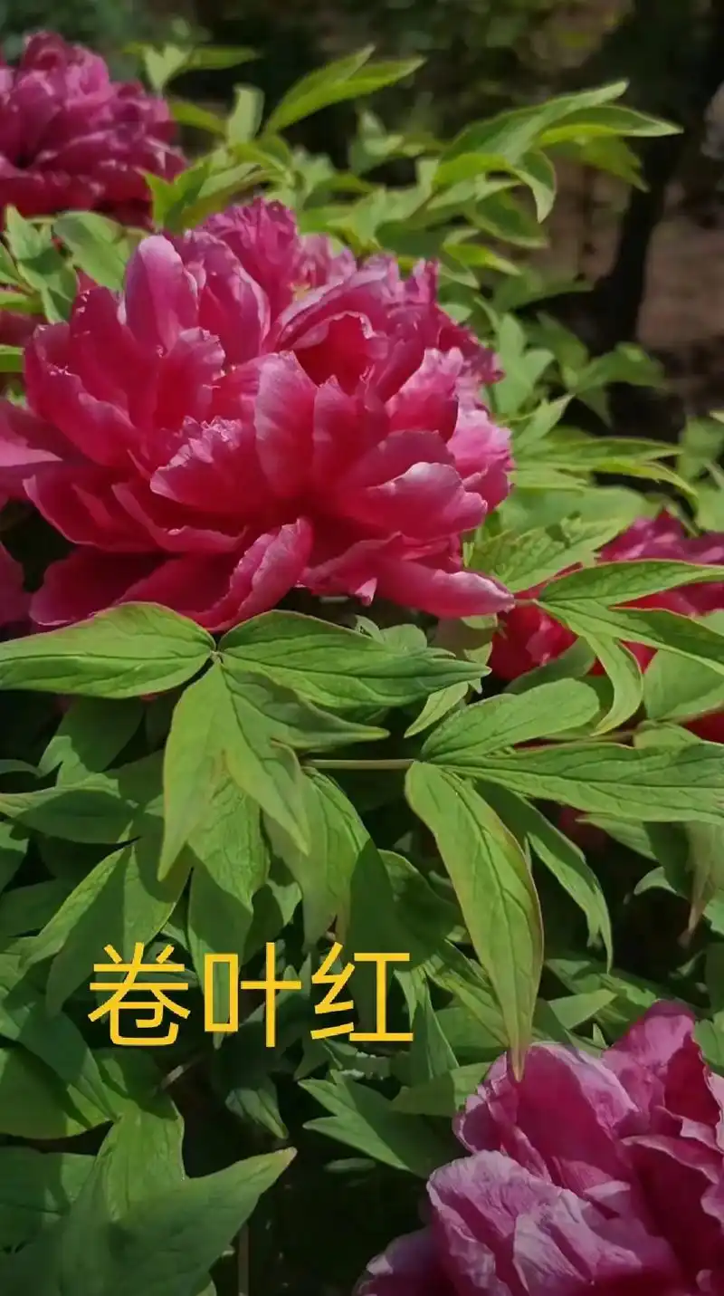 生活是一半诗意一半烟火,手持烟火以谋生,心怀诗意以