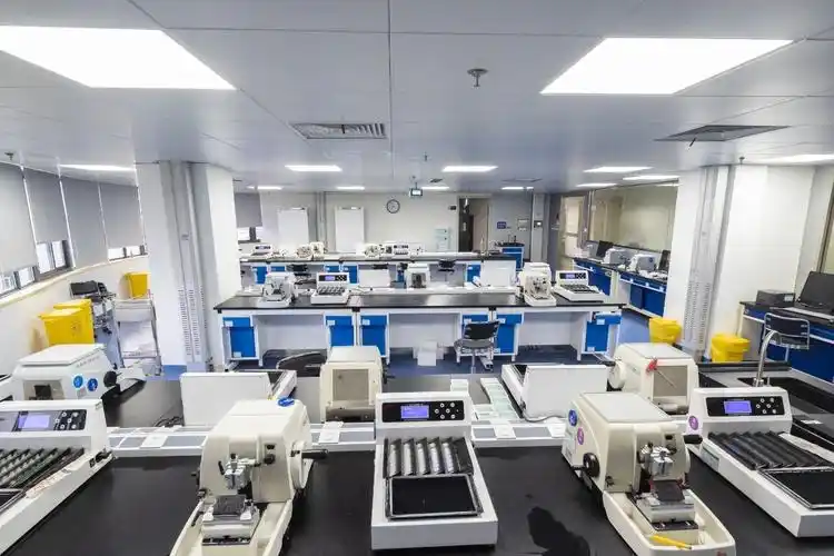 喜报市病理中心获批2023年度市重点实验室