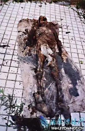 邓丽君墓穴泡水成荫尸?荫尸是什么意思?