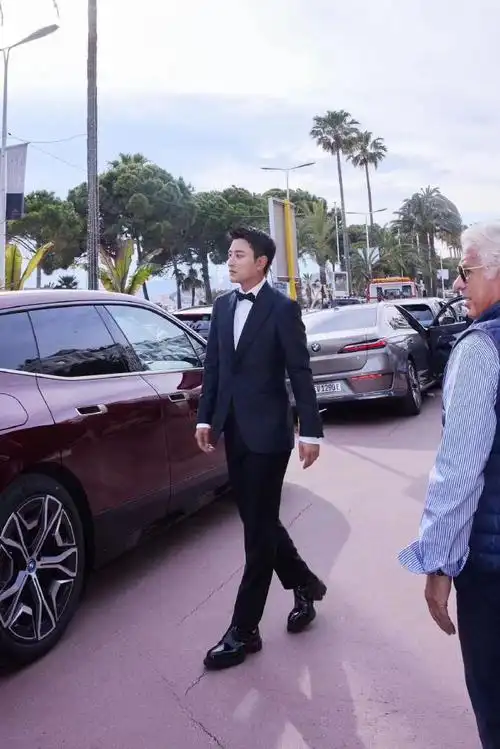 贾乃亮戛纳红毯造型##贾乃亮戛纳红毯状态#贾乃亮简单而又从容的发型