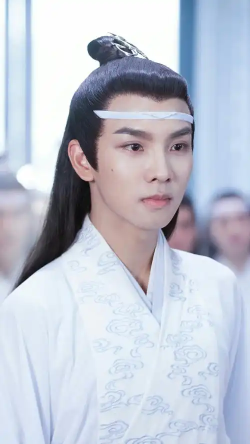 陈情令 蓝思追 郑繁星 - 堆糖,美图壁纸兴趣社区