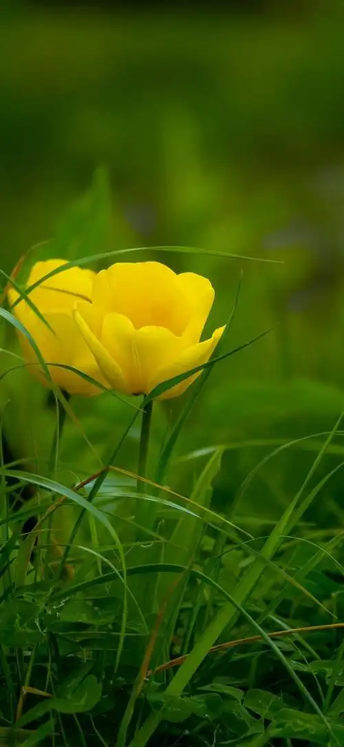 中年人适合穿卫衣吗