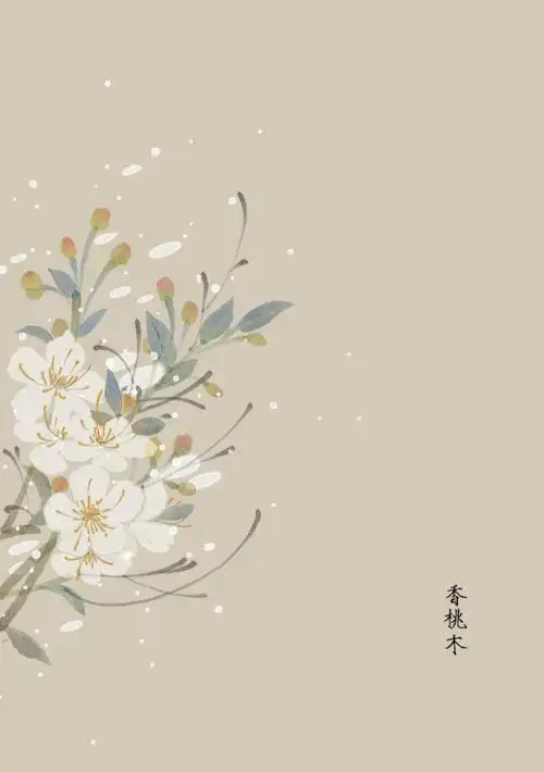 花草,水墨,封面,淡雅,唯美,插画,古风