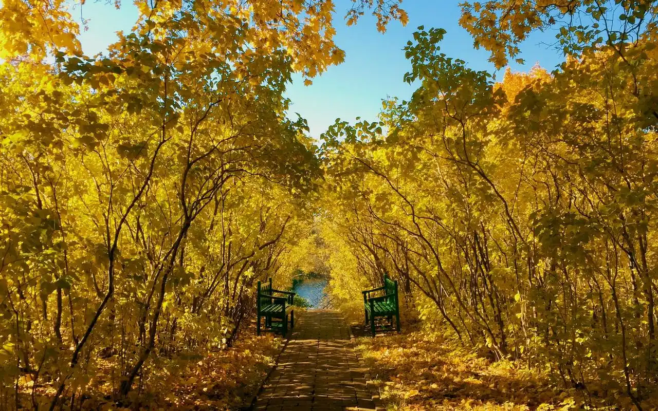 秋天唯美自然风光图片高清壁纸-风景壁纸-壁纸下载-美桌网